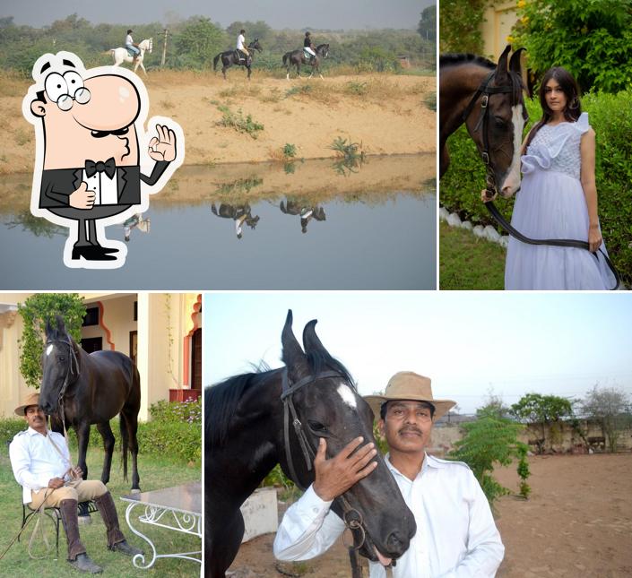 Here's a pic of Ranch Resort By Made My Stay Hospitality