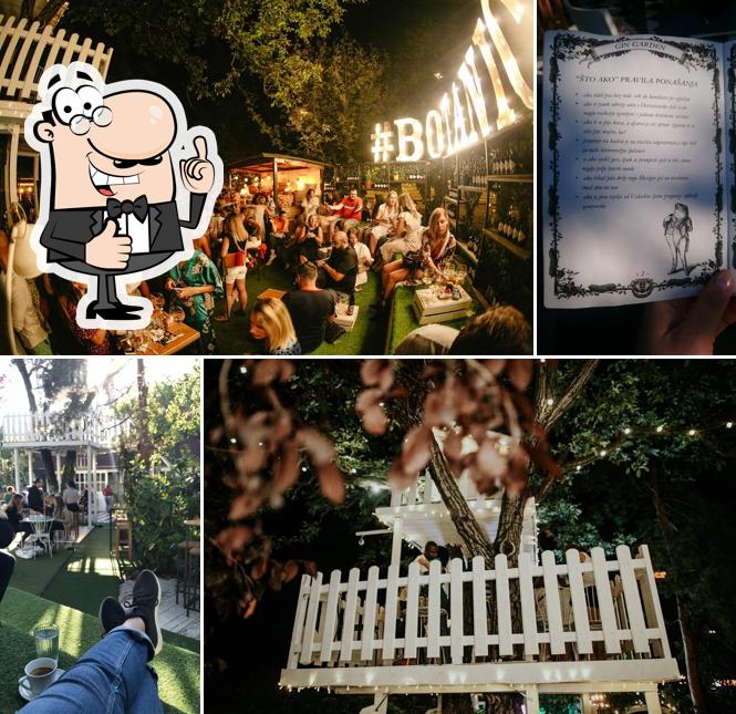 Voici une photo de Hendrick's Gin Garden