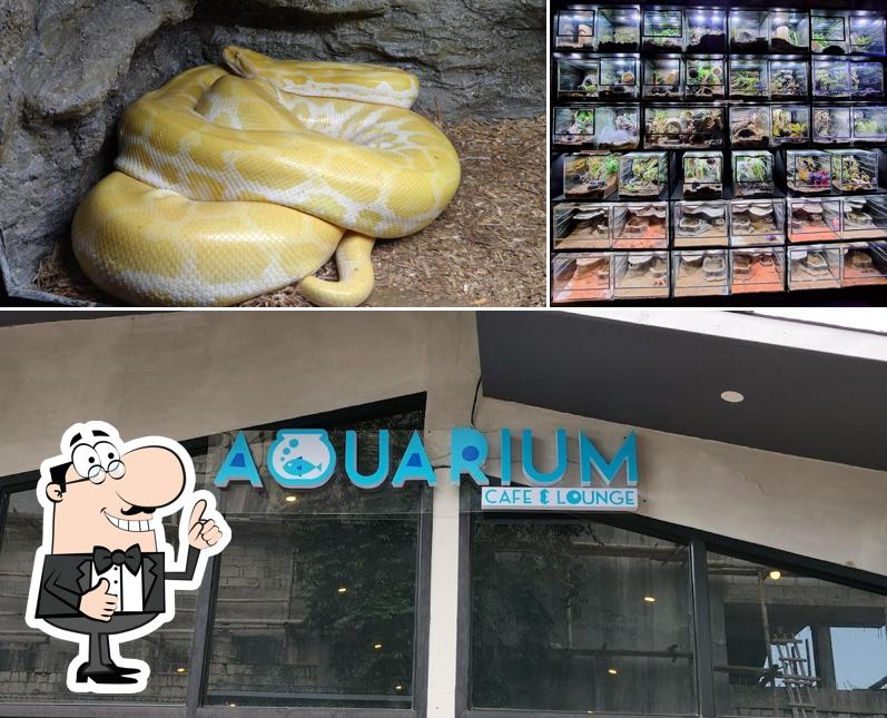 Aquarium Cafe, Iloilo City Restaurant reviews