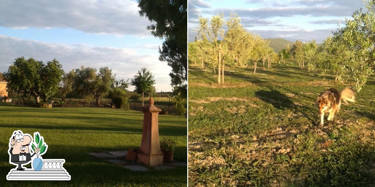 Gli esterni di La Trappola del sole Grosseto