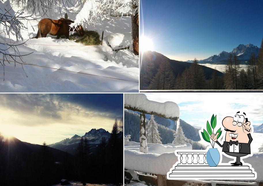 Guarda gli esterni di Rifugio Larice