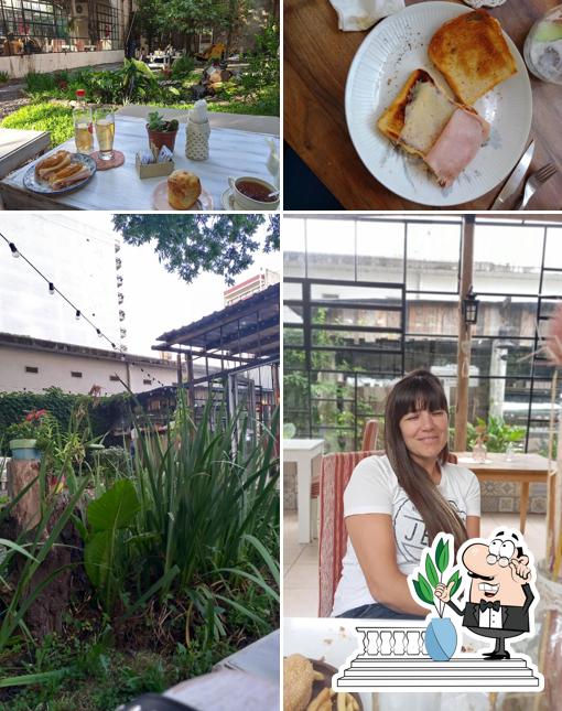 Delia Cafe, San Miguel Opiniones del restaurante