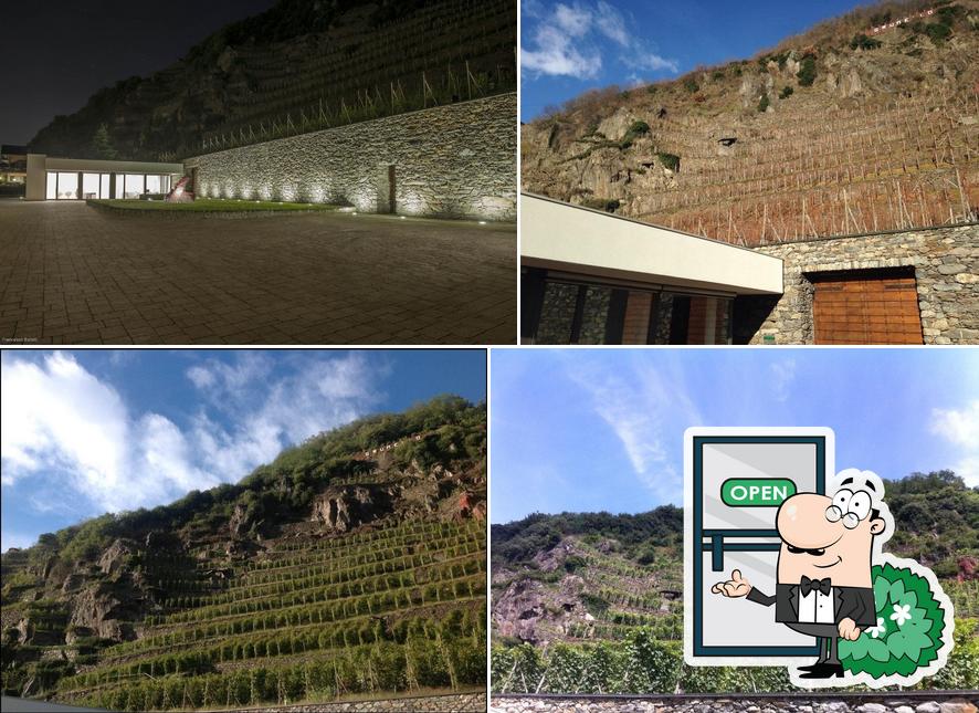 ArPePe