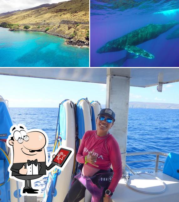 Maui Magic Molokini Snorkel Tour in Maalaea