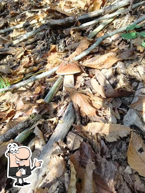 Ecco un'immagine di Ristorante La corte di Raffi 4