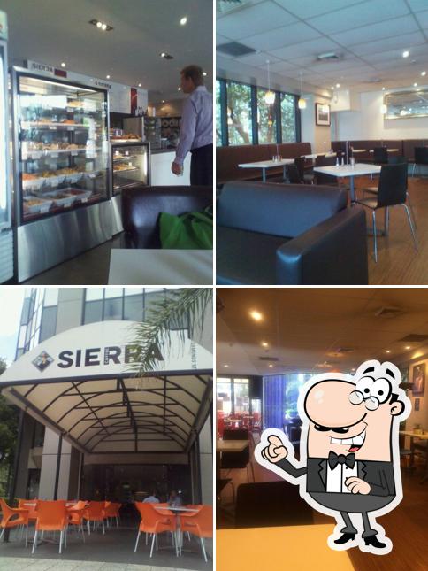 Sierra Cafe Symonds Street, 110 Symonds St in Auckland Restaurant