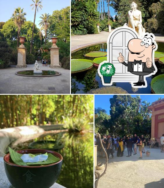 Guarda gli esterni di Talea - Orto Botanico