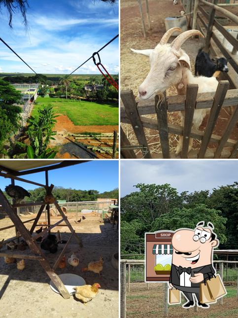 Adventure Eco Park