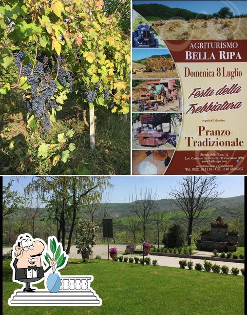 Gli esterni di Agriturismo Bella Ripa