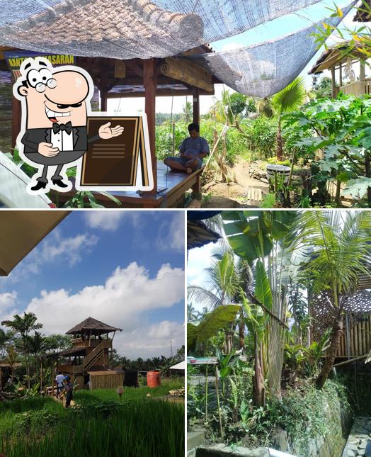 Paglak Petung cafe, Kalipuro - Restaurant reviews