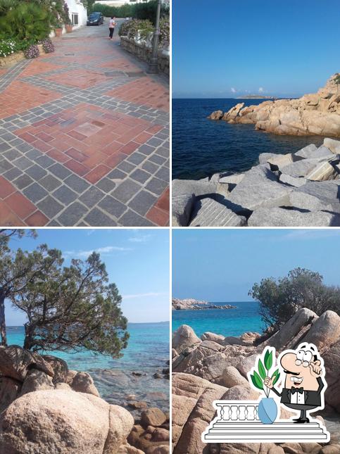 Legami Sushi And More