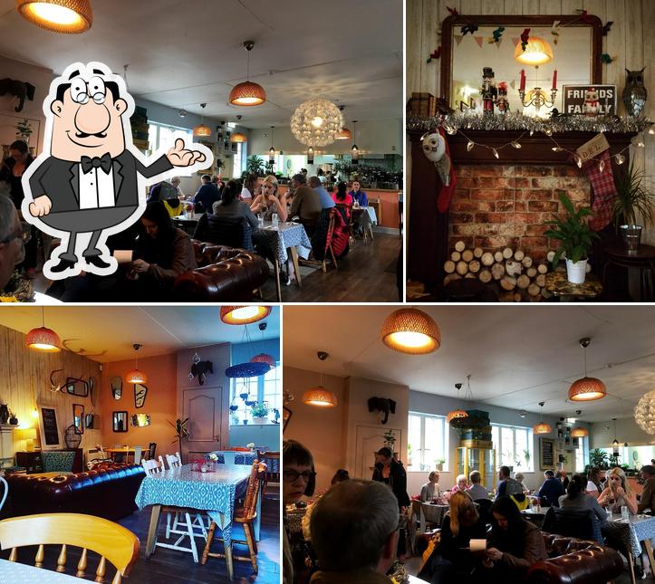 The Hideaway Cafe in Bridge of Allan Restaurant reviews