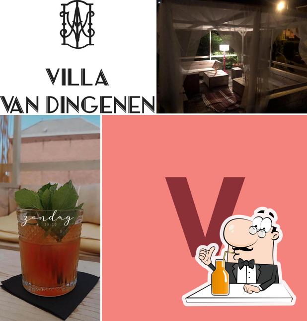 Villa Van Dingenen