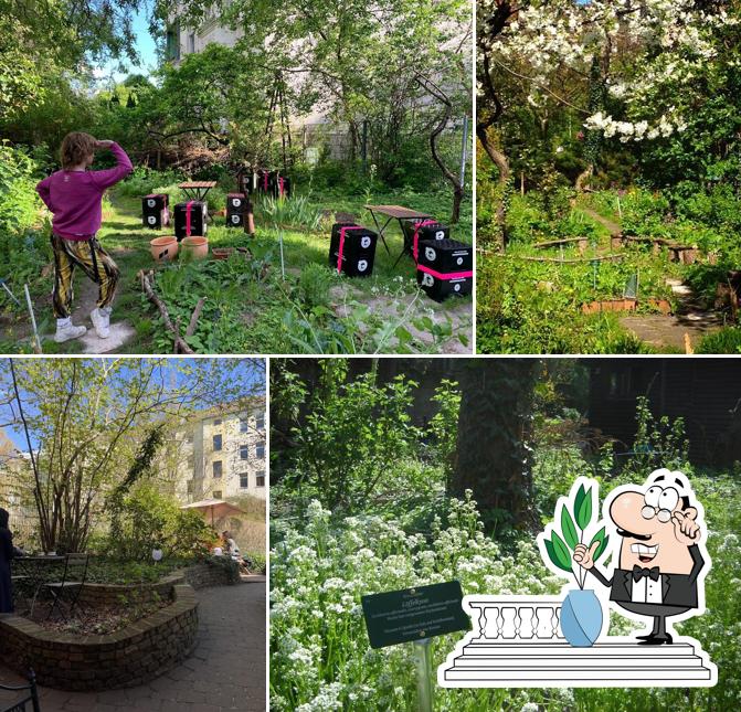 Vous pouvez prendre un bol d'air frais à l'extérieur Café Botanico