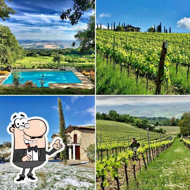 Gli esterni di VALDONICA Ristorante