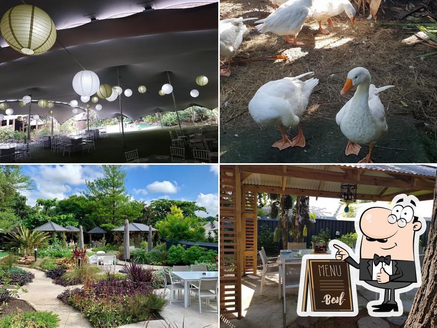 The Chocolate Garden restaurant, Verulam Restaurant reviews