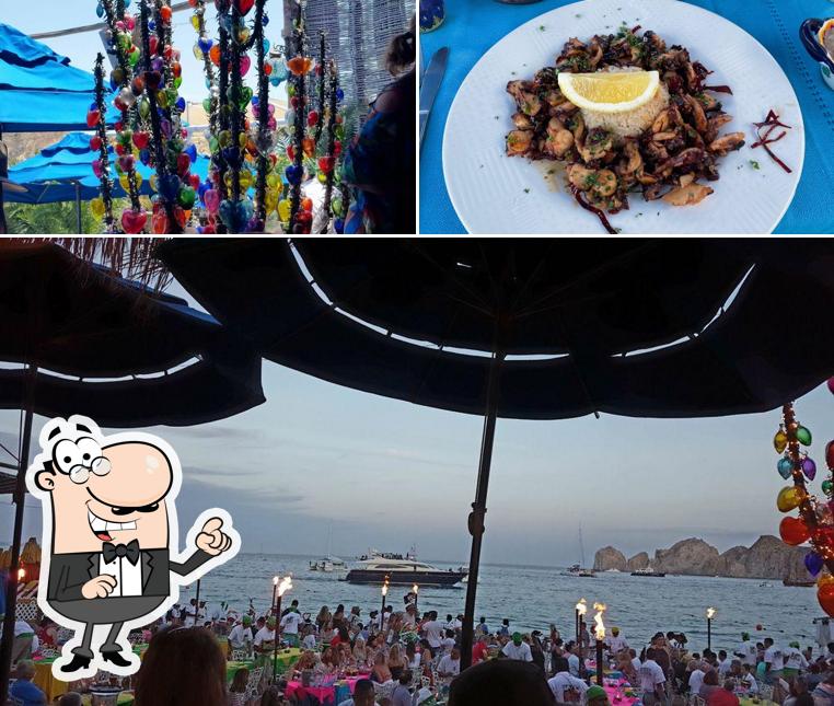 The Office on the Beach pub & bar, Cabo San Lucas, Playa El Medano S/N -  Restaurant menu and reviews