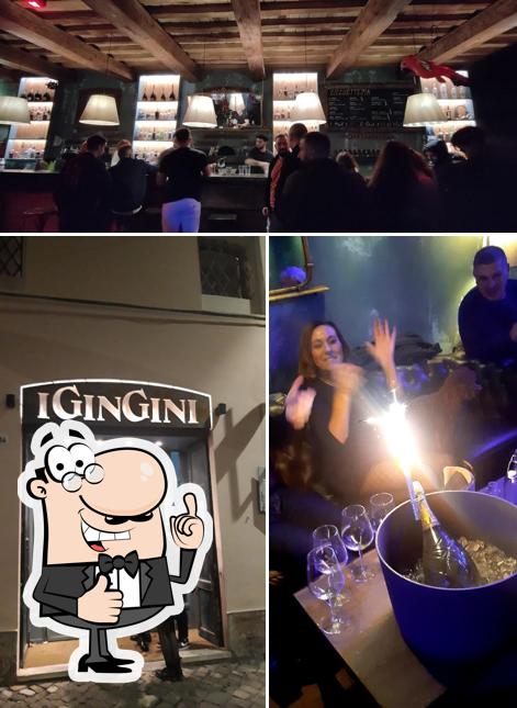 Voir l'image de iGinGini