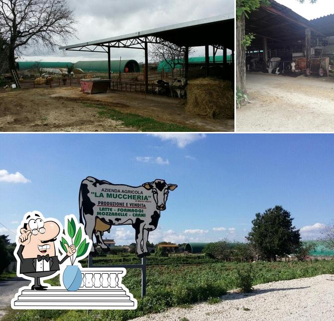 Gli esterni di La Muccheria