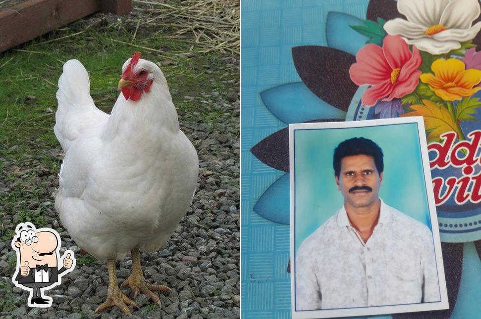 lokendra sri vijayakrishna chicken centar and live fish photo