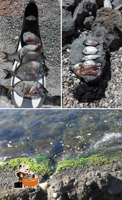 Cozze al Chiarina Ammare