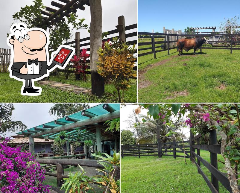 Oaj Ranch
