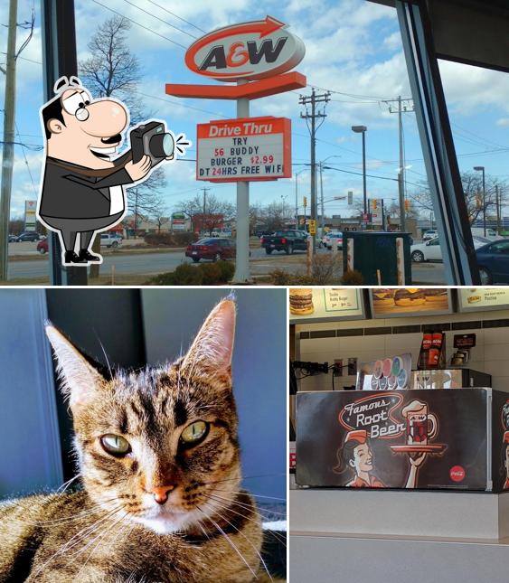 Regarder l'image de A&W Canada