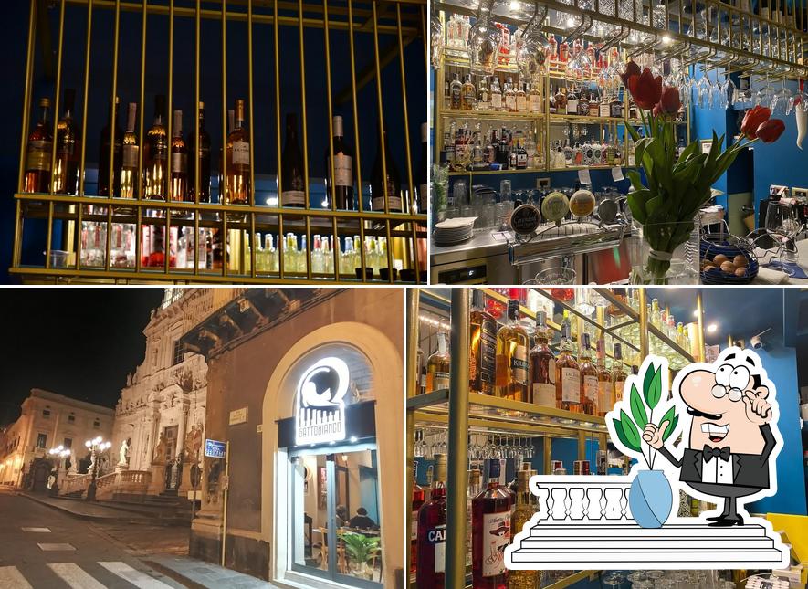 Gli esterni di Gattobianco - Osteria della Musica
