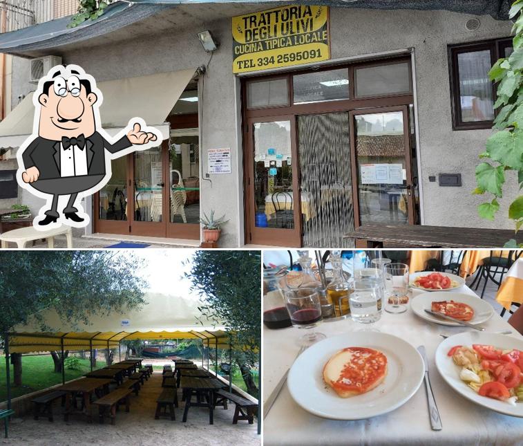 Dai un'occhiata agli interni di Trattoria degli Ulivi