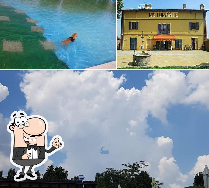 Guarda gli esterni di Golfa