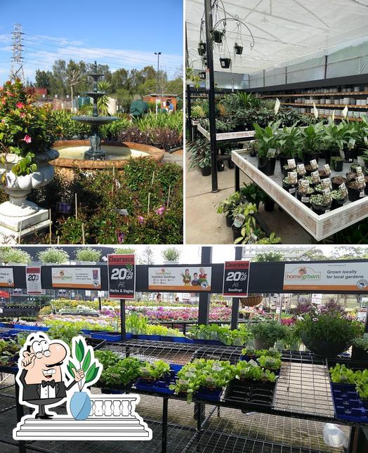Flower Power Garden Centre Taren Point in Taren Point Restaurant reviews