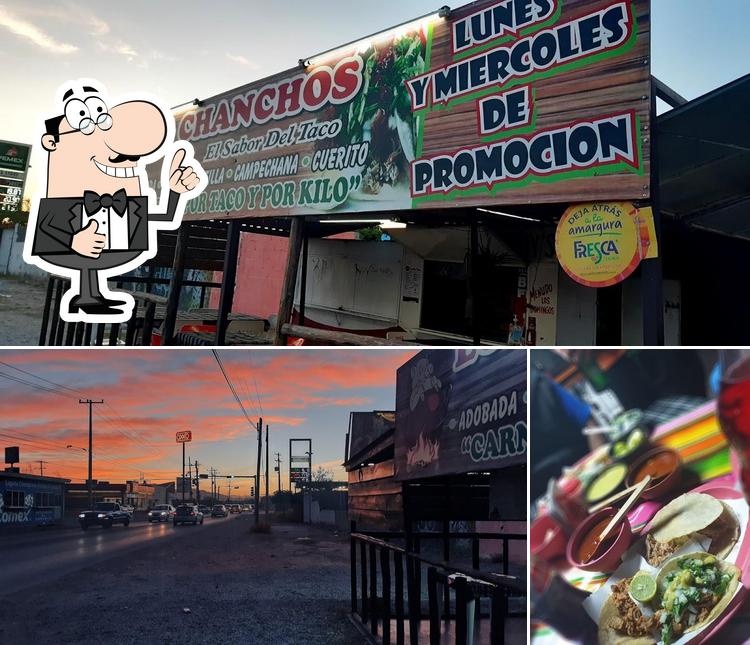 Tacos,Los Chanchos restaurant, Torreón - Restaurant reviews