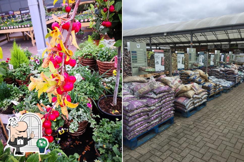 Dobbies Garden Centre Peterborough in Peterborough Restaurant reviews