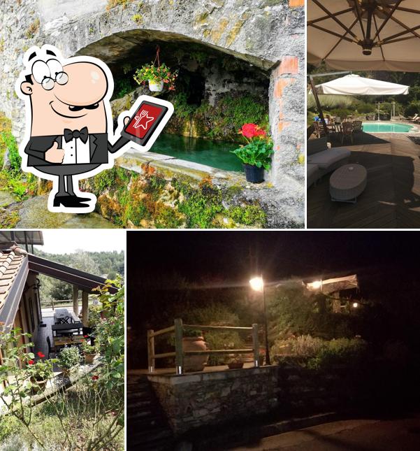 Spino Fiorito Stay