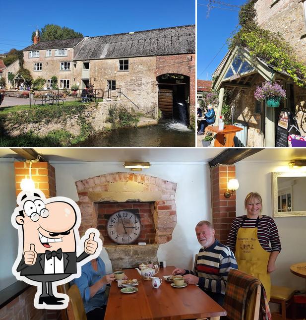 Maria's Pantry Mangerton Mill in Bridport Restaurant reviews