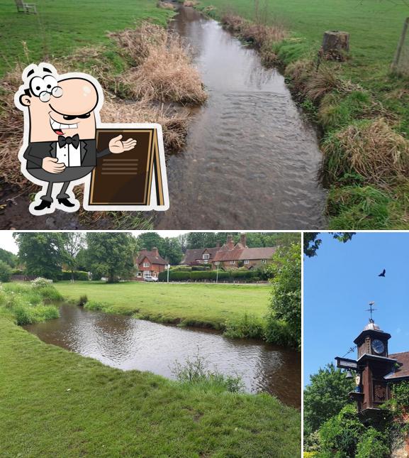 Abinger Hammer in Wotton Restaurant reviews