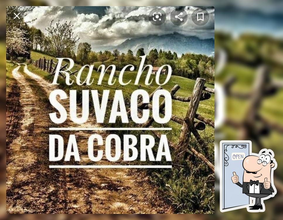 Bar suvako de kobra