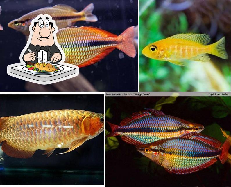 Arowana fish offre un menu pour les amateurs de poissons