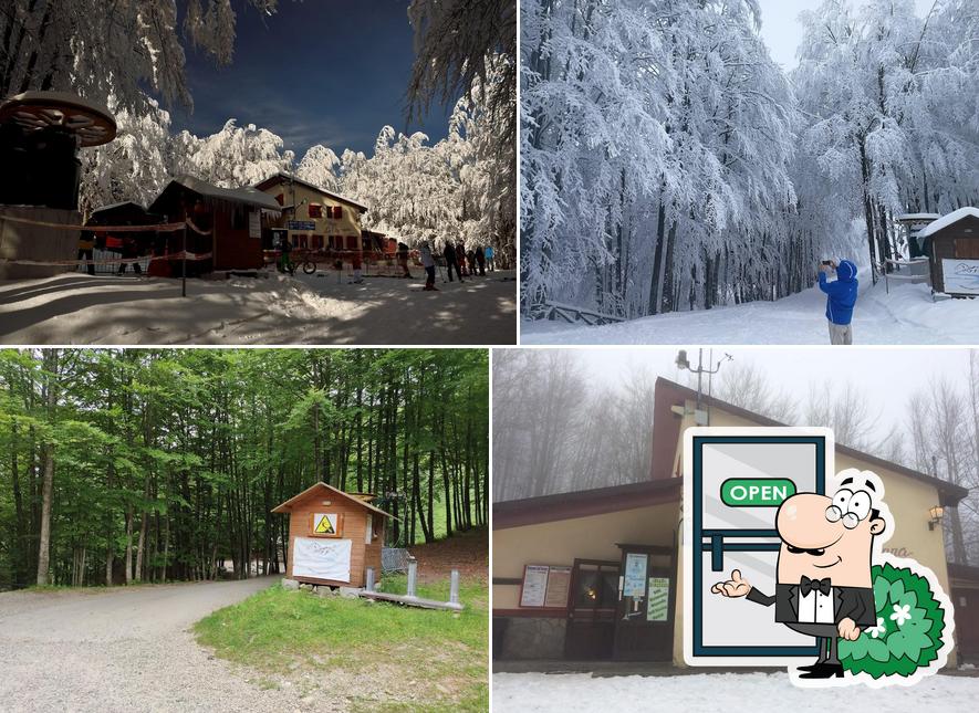 Guarda gli esterni di Rifugio La Capanna • Campigna