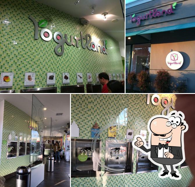 Check out how Yogurtland looks inside