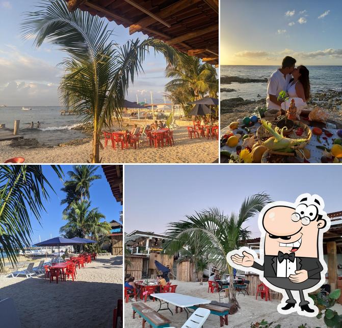 The Monkey Beach restaurant, San Miguel de Cozumel - Restaurant reviews