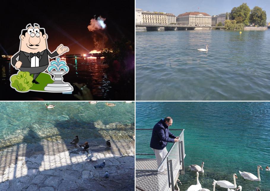 Guarda gli esterni di Les Terrasses de Genève