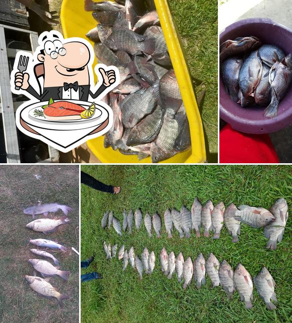 pague e pesque machado e lanchonete machado fornece um menu para amantes de pratos de peixe
