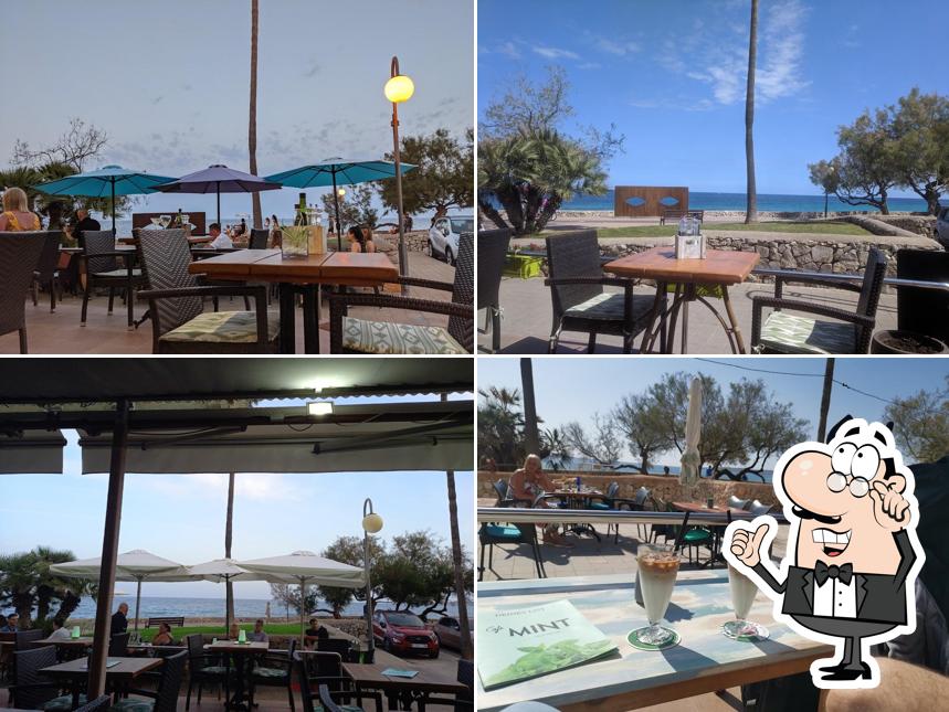 Cafe Mint in Cala Millor Restaurant reviews