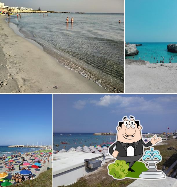 Guarda gli esterni di Lido Le Fontanelle