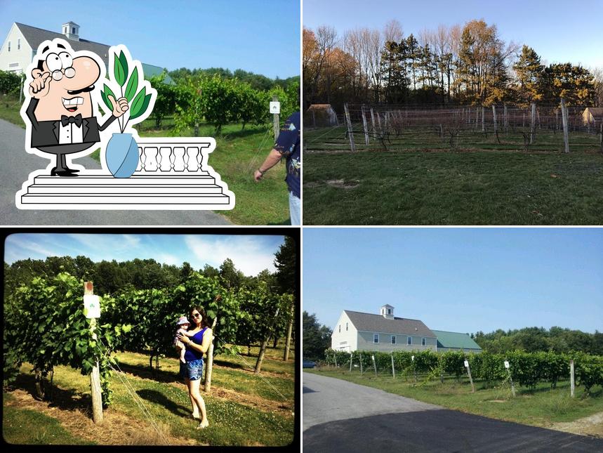 Jewell Towne Vineyards in Amesbury Restaurant reviews
