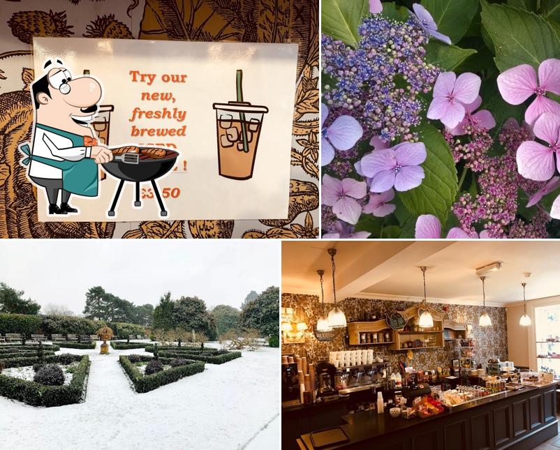 Nonsuch Pantry Cafe in Sutton Restaurant menu and reviews
