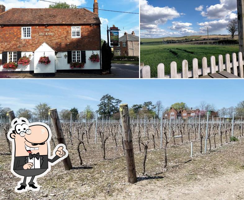The Bat & Ball, Hambledon in Clanfield Restaurant menu and reviews