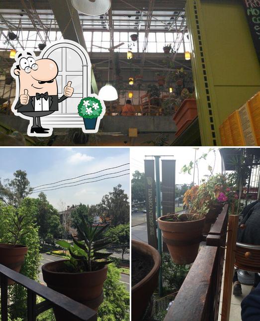 Restaurante The Green Corner, Ciudad de México, Miguel Ángel de Quevedo