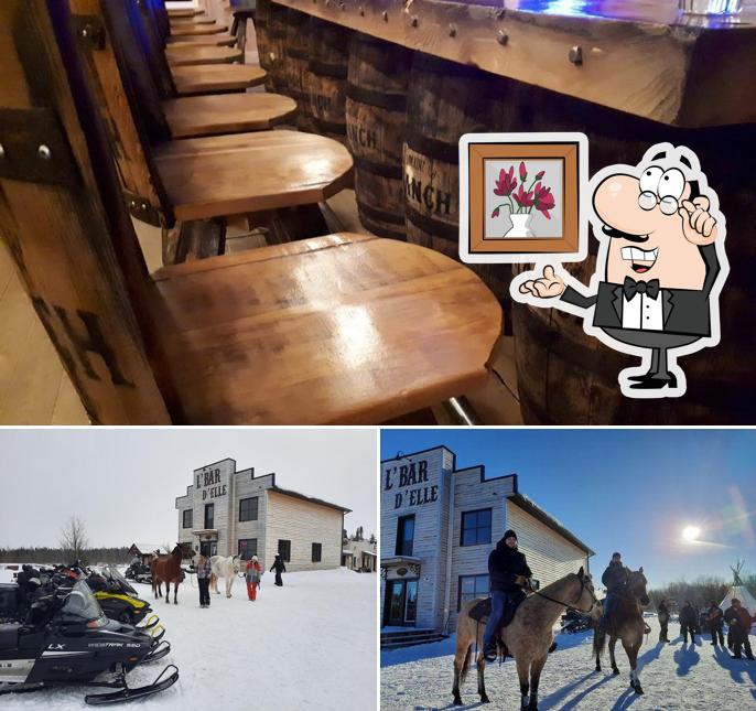 Le Domaine Du Ranch in Sainte-Jeanne-d'Arc - Restaurant reviews